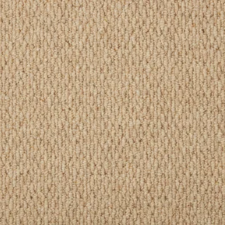 Sahara