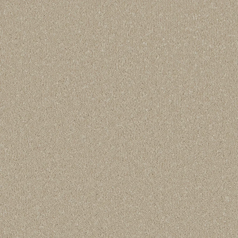 Silken Serenity Stucco