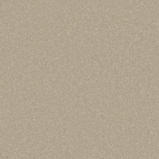 Stucco