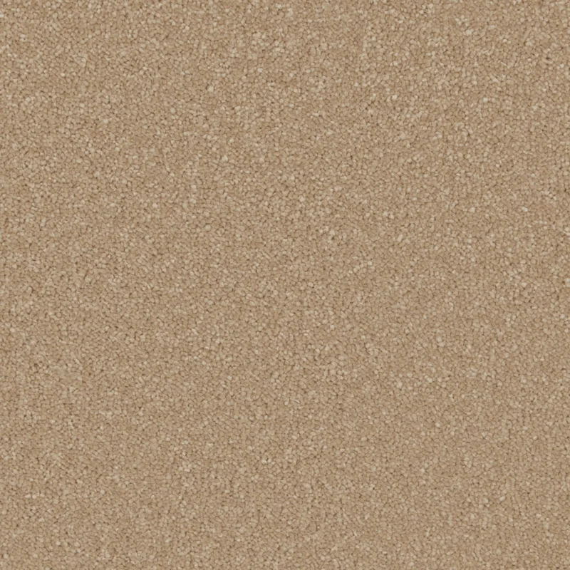 Sensation Gazelle
