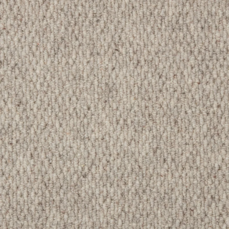 Malabar Two Fold Chinchilla