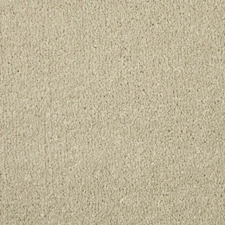 Pale Angora