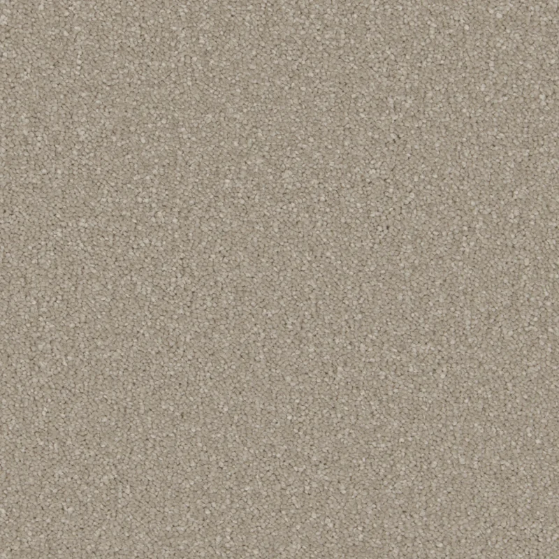 Sensation Arctic Grey