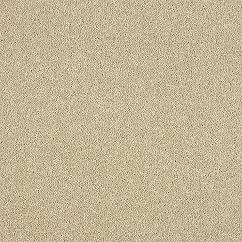Maximus Timeless