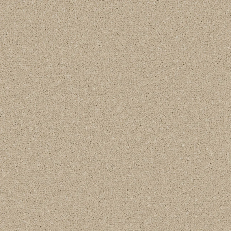 Apollo Plus Sea Breeze