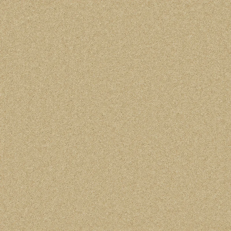 Pembroke Camel