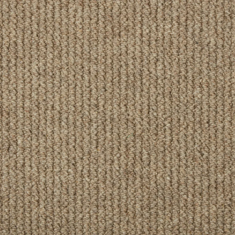 Malabar Two Fold Koala