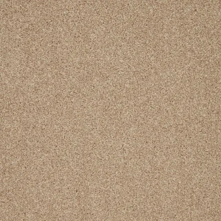 Palm Sugar