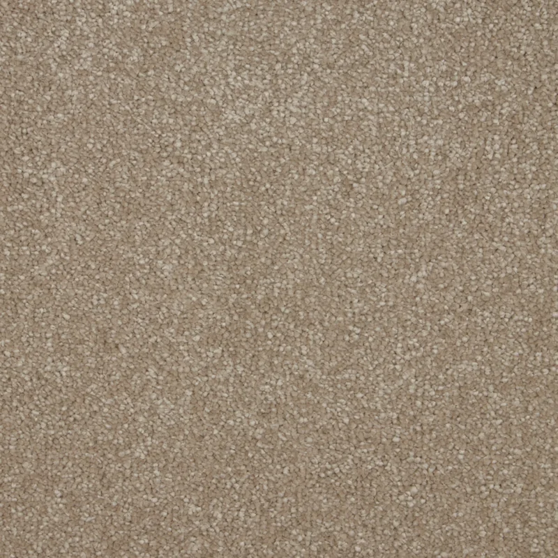 Sensation Cambrian Stone