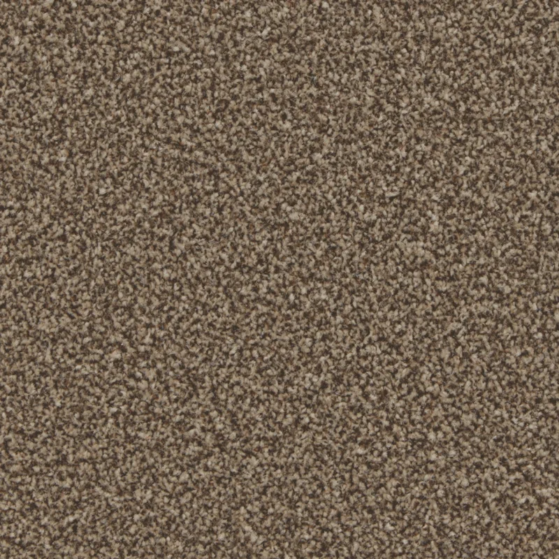 Kingston Mocha