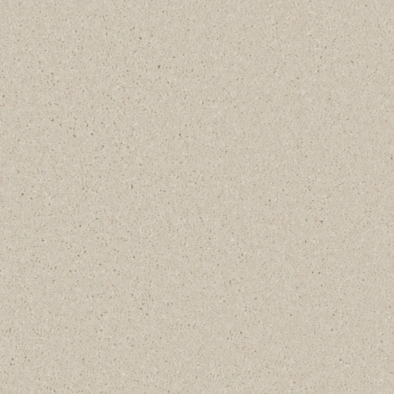 Zenith Chalk White