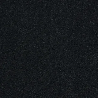 Black Raven