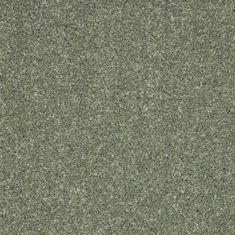 Inglewood Saxony Willow