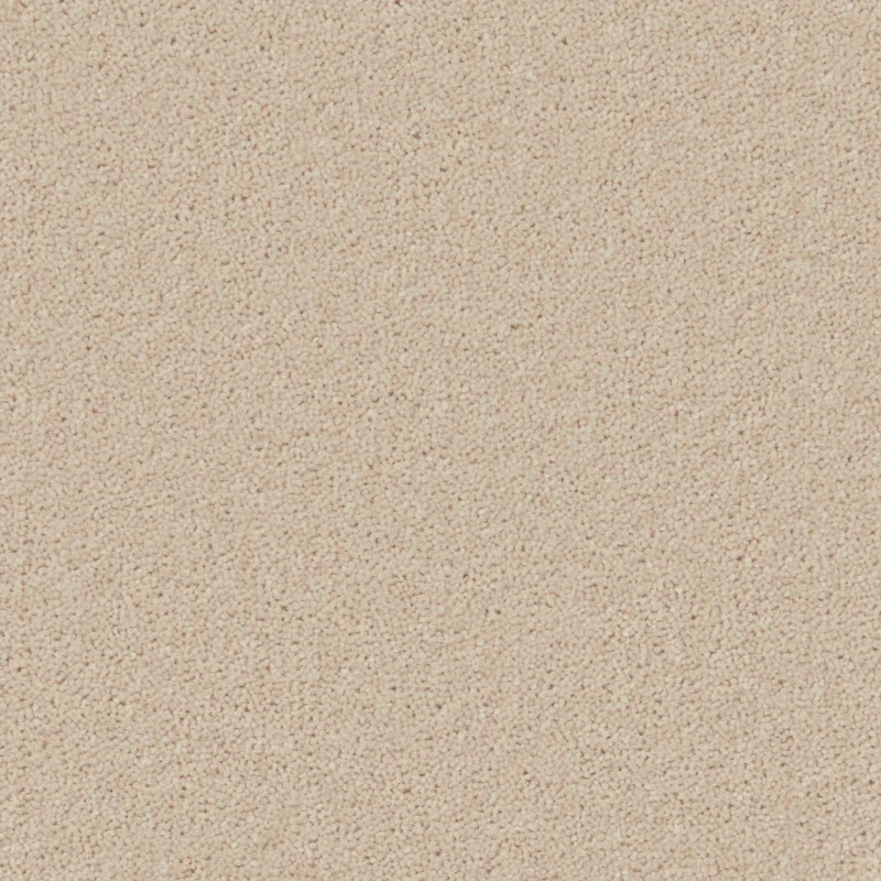 Hampstead Pacific Pearl
