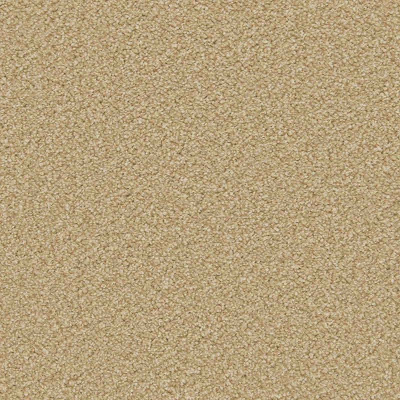 Apollo Plus Caramel
