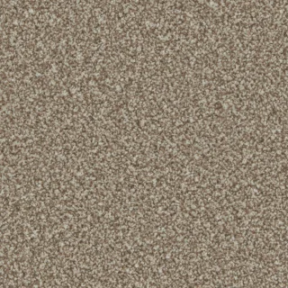 Kernel