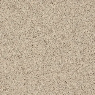 Pine Nut