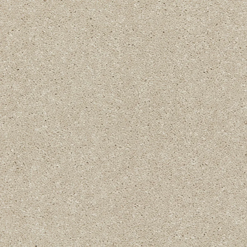Riva Aniseed