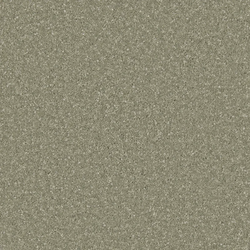 Zenith Tuscan Olive