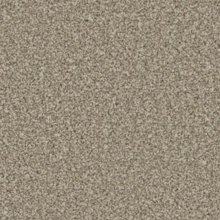 Pale Oak
