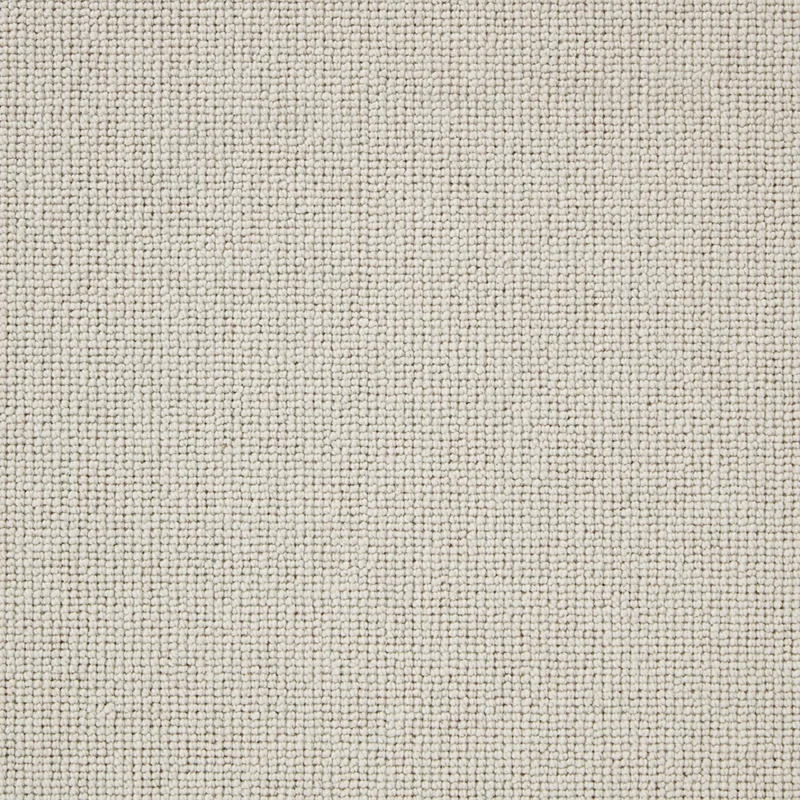 Pimlico Calico