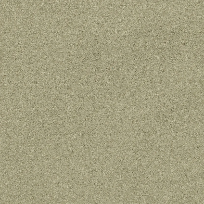 Pembroke Chervil