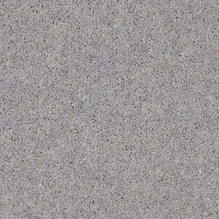 Dove Grey