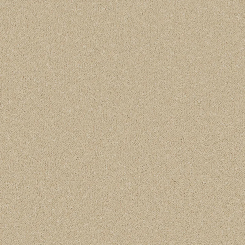 Silken Serenity Sand Dune