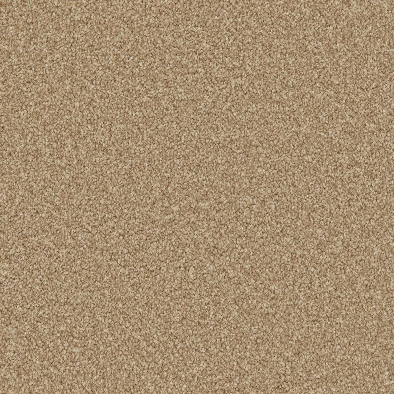 Apollo Plus Stepping Stone