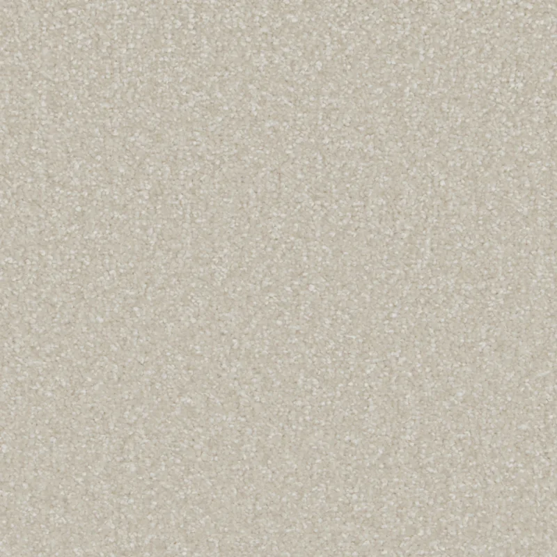Sensation Soft Orchid